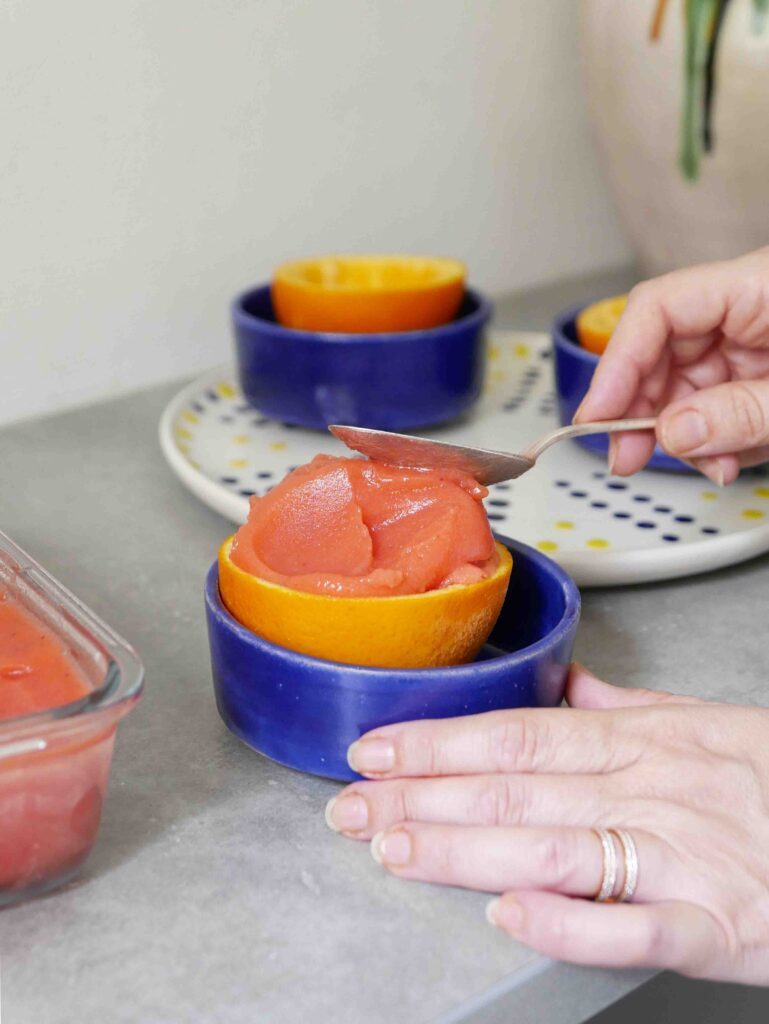 recette facile et rapide de sorbet aux fruits