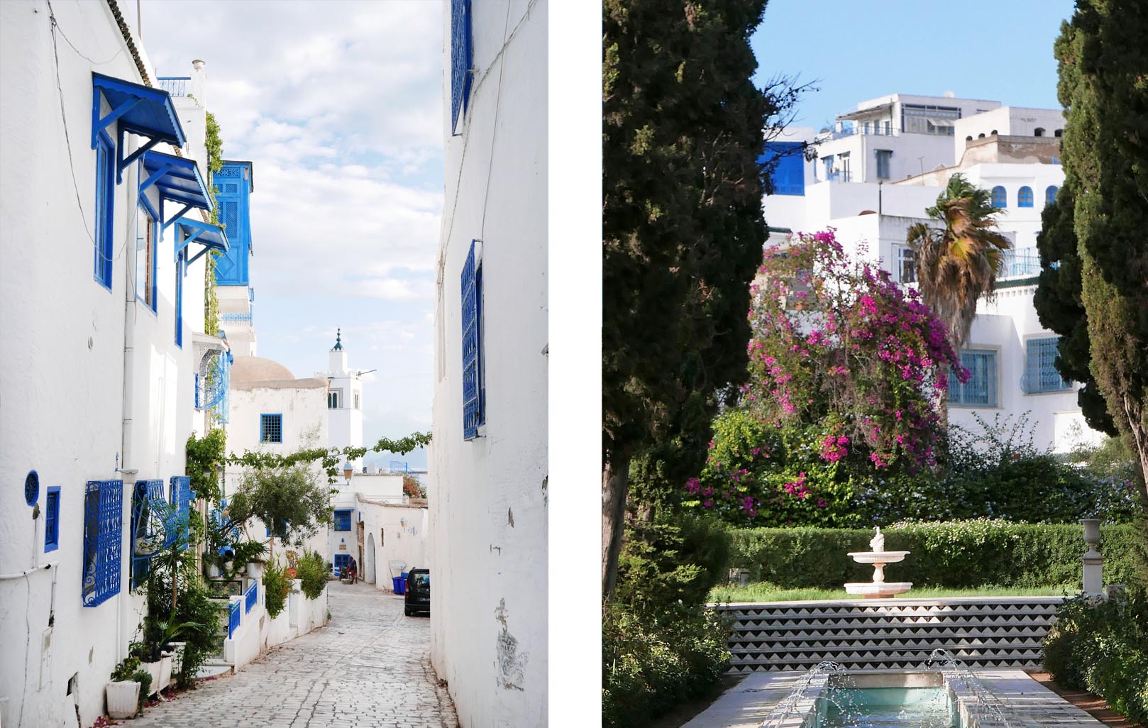 Charmant village blanc et bleu de Sidi Bou Saïd près de Tunis